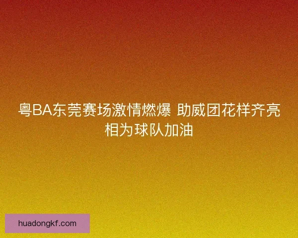 粤BA东莞赛场激情燃爆 助威团花样齐亮相为球队加油
