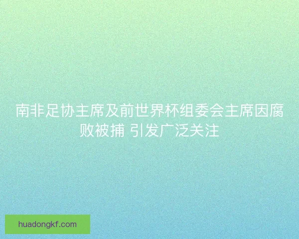 南非足协主席及前世界杯组委会主席因腐败被捕 引发广泛关注 南非足协主席及前世界杯组委会主席因腐败被捕 引发广泛关注